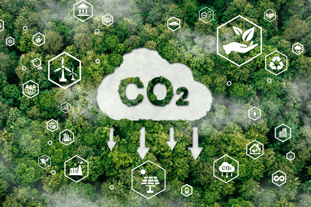 Center of Excellence for Building Decarbonization